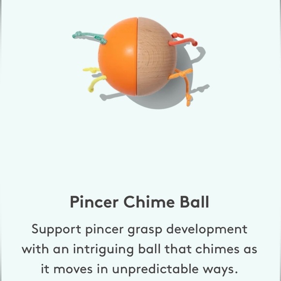 Lovevery 9-10M Montessori Toys and Guide. In great like new condition - Picture 3 of 14